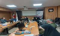 برگزاری کمیته هماهنگی طرح ایمنسازی تکمیلی فلج اطفال اتباع خارجی