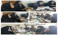 بر گزاری کمیته طب ایرانی در شبکه بهداشت و درمان رباط کریم