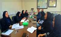 برگزاری کمیته تخصصی بررسی پرونده‌های ژنتیک اجتماعی در شبکه بهداشت و درمان رباط کریم